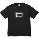 25SS Damien Hirst Tee