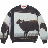 x Damien Hirst Sweaters