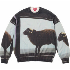 x Damien Hirst Sweaters
