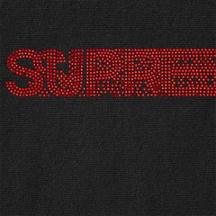 Swarovski Motion Logo Hoodie