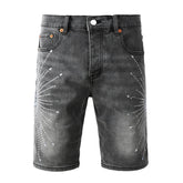 Denim Shorts #5094