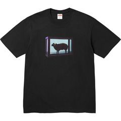 25SS Damien Hirst Tee