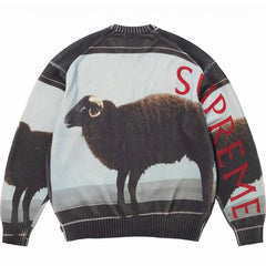 x Damien Hirst Sweaters